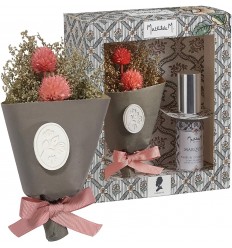 Geschenkset Trockenblumen + Duftspray Parfum Marquise
