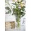 Vase aus Glas