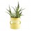 Madam Stoltz Blumenvase gelb